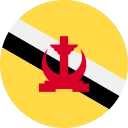 брунейский доллар (BND)