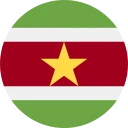 суринамский доллар (SRD)
