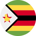 Зимбабвийский ZiG (ZWG)